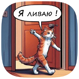 🚪