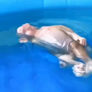 🤩