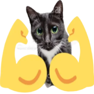 💪