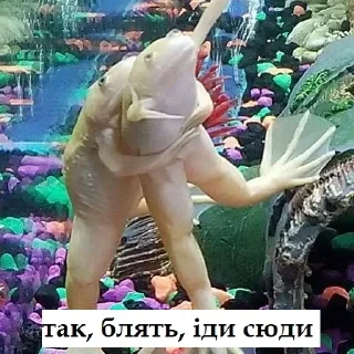 🫂