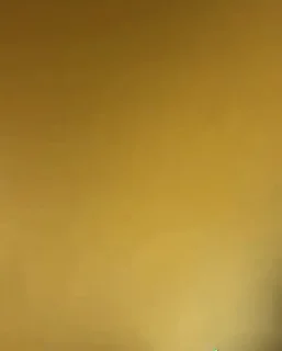 🐱