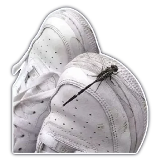 👟