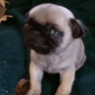 😴