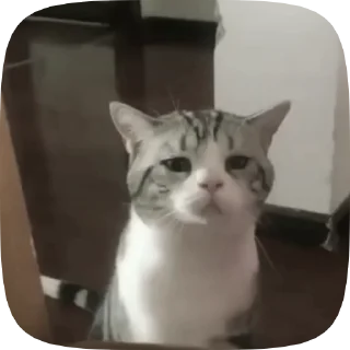 🥺