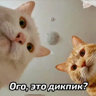 😂