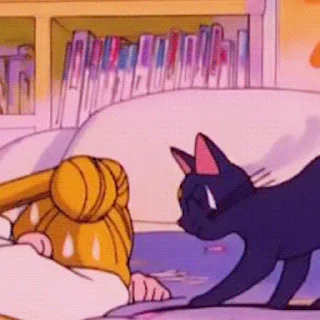 😾