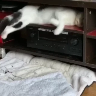 😶