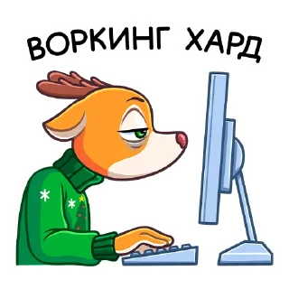🖥