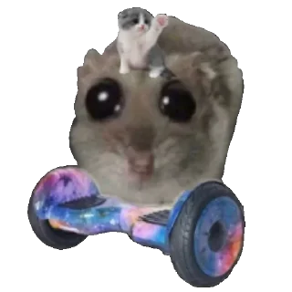 🛼
