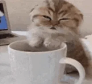 😴