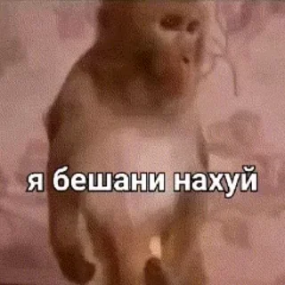 😡