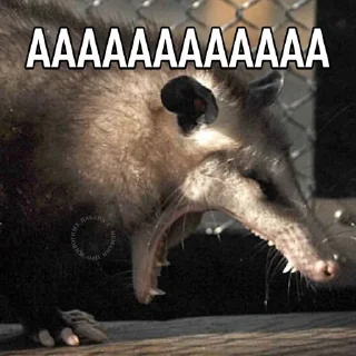 🗣