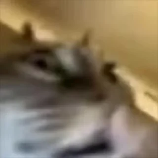 🤯