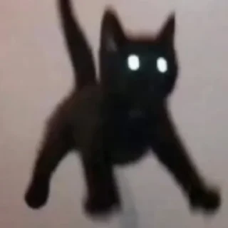 👀