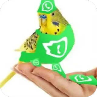 🫥