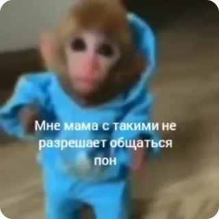 🌟