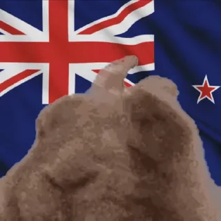 🇳🇿