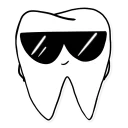 molars