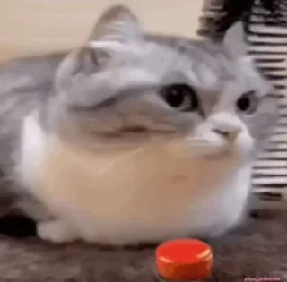 💥
