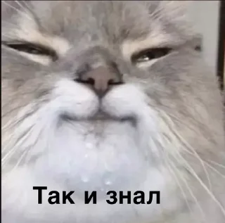 🧐