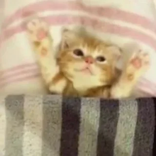 🥰