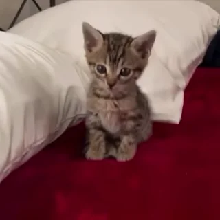 ☺️
