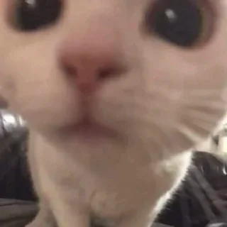 眩