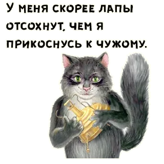 🐱
