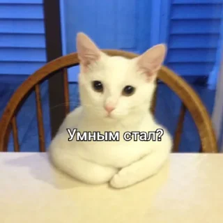 😒