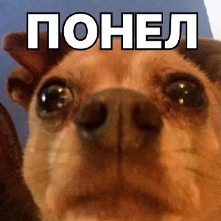 ☹️