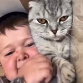 🐈‍⬛