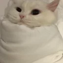 🤒
