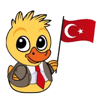 🇹🇷
