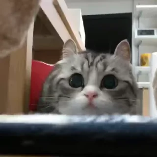 😈