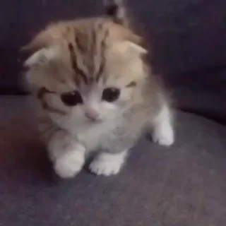 💗