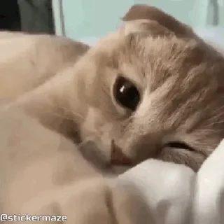 🧐