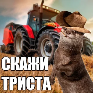 😎