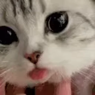 👅