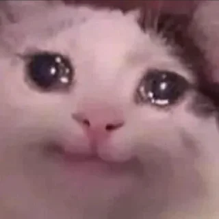 🥹