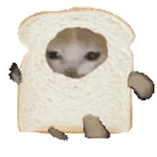 🍞