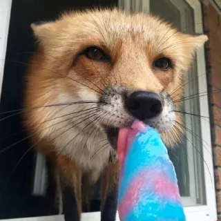 😗