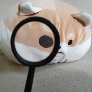 🔍