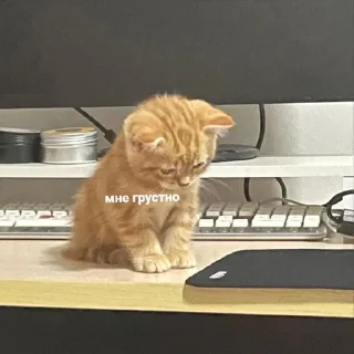 🤍