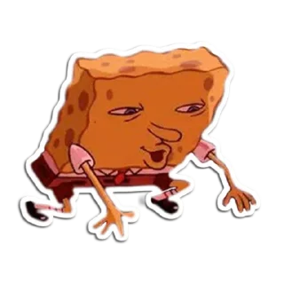 🧽