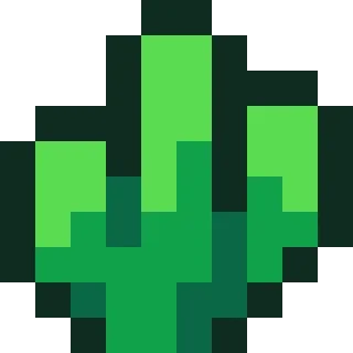 🌵
