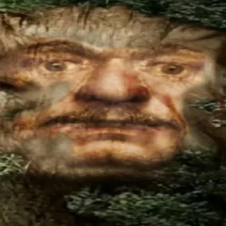 🌳