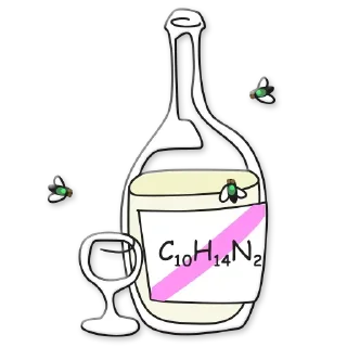 🍶