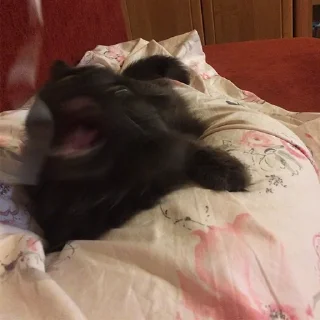 👹