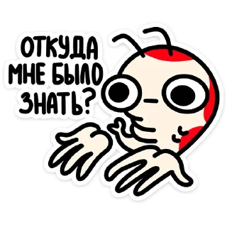 🤷‍♀️
