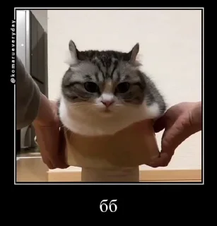 👋